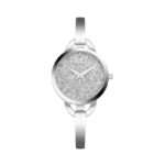 Zegarek damski PIERRE RICAUD