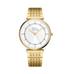 Zegarek męski PIERRE RICAUD