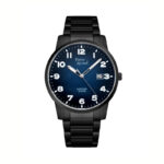 Zegarek męski PIERRE RICAUD