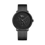 Zegarek męski PIERRE RICAUD