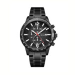 Zegarek męski PIERRE RICAUD