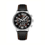 Zegarek męski PIERRE RICAUD