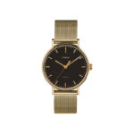 Zegarek męski TIMEX